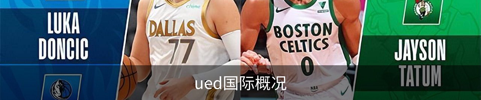 ued国际概况